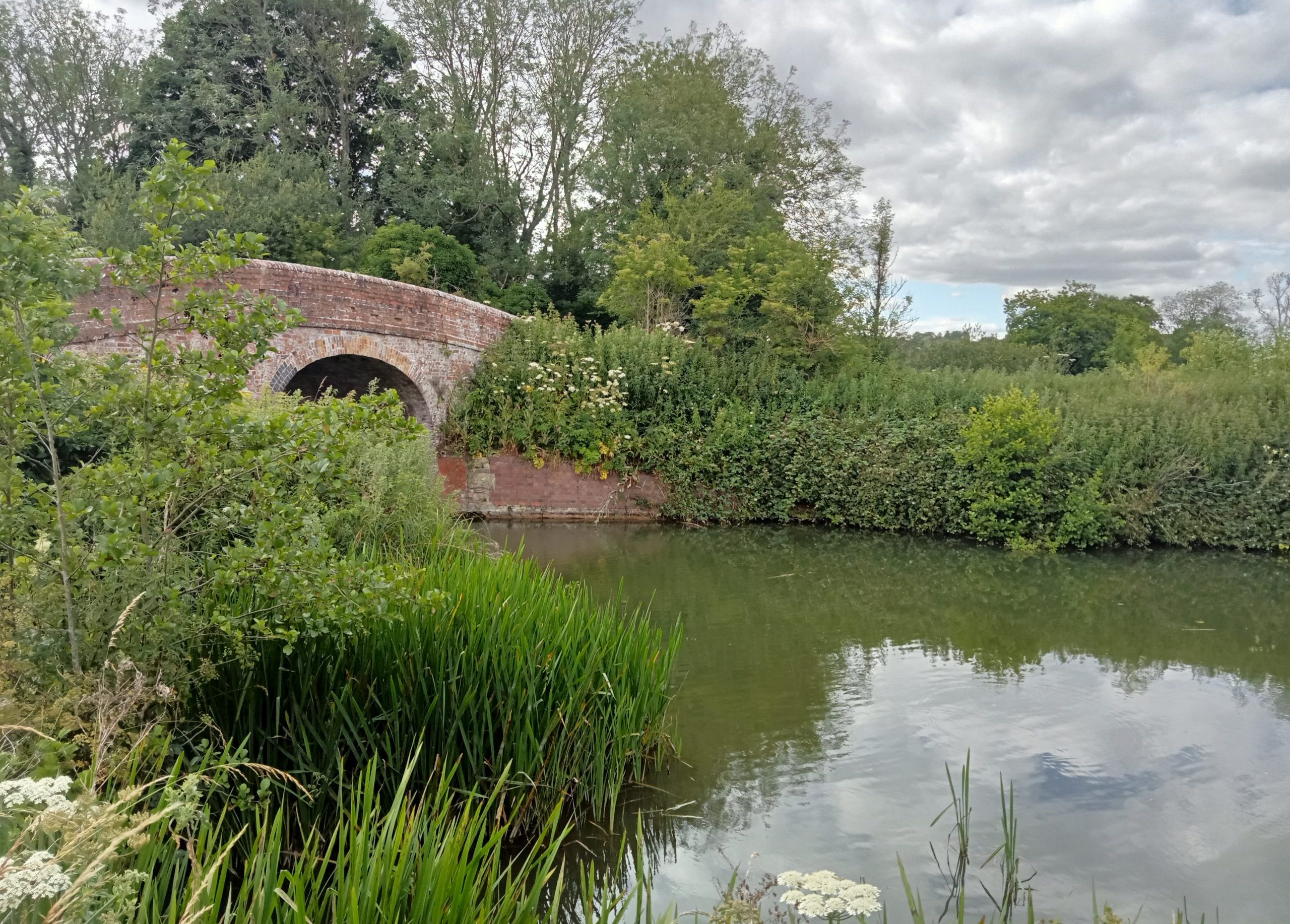 Enborne - K&A Canal - Newbury Angling Association